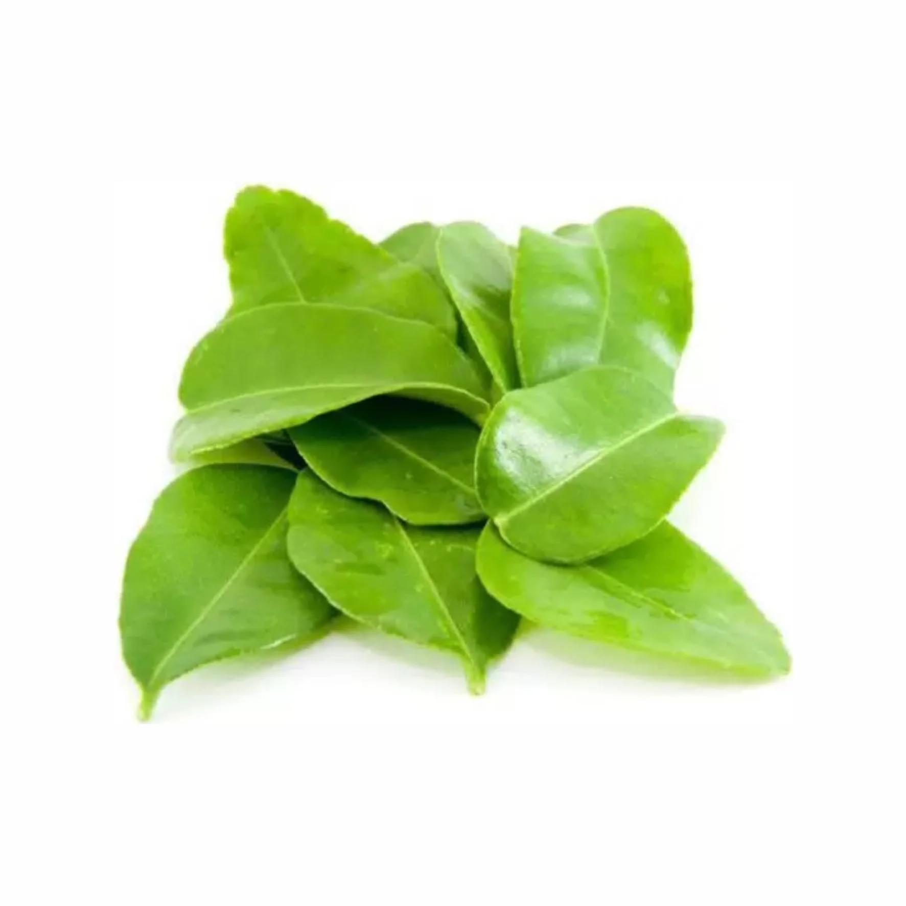 Листья лайма