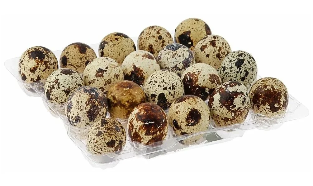 Перепелиные яица 20шт