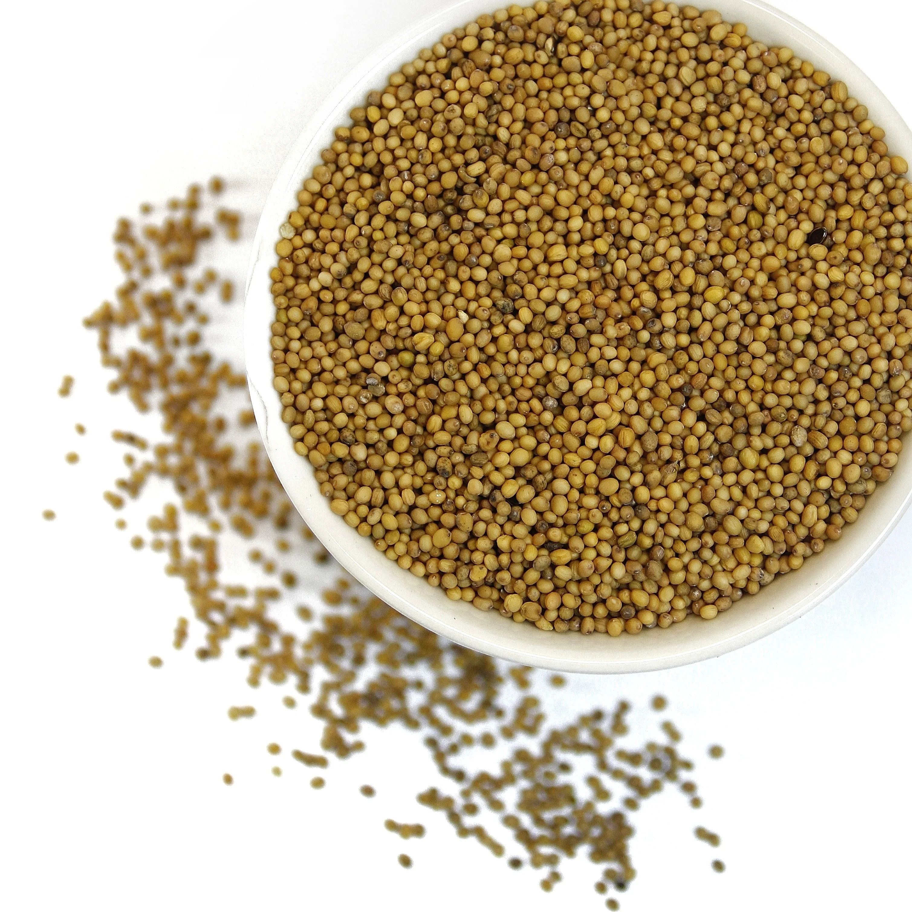 семена горчицы 700гр